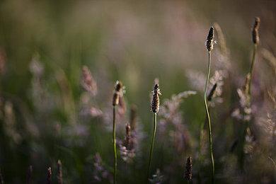 EA SPORTS FC™ 26 开启球员评分周 —— 揭晓男女足 Top 26 球员 